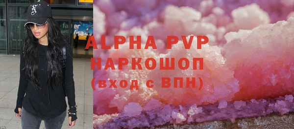 стаф Осинники