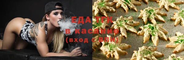 стаф Осинники