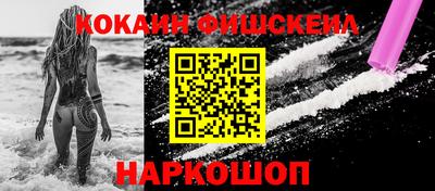 гашик Бийск