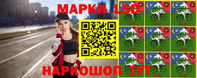 гашик Бийск