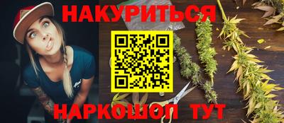 гашик Бийск