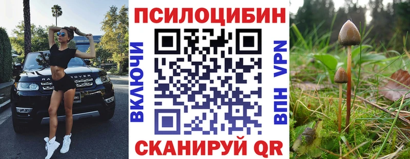 Галлюциногенные грибы Psilocybe  сколько стоит  Петровск 