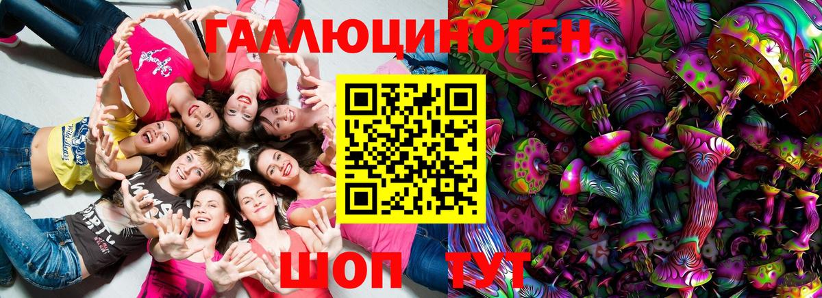 Псилоцибиновые грибы Psilocybe  Вход с VPN  Петровск 