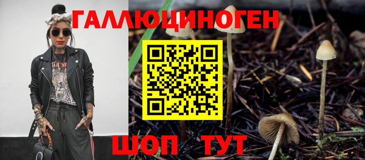 Галлюциногенные грибы GOLDEN TEACHER  наркошоп  Петровск 