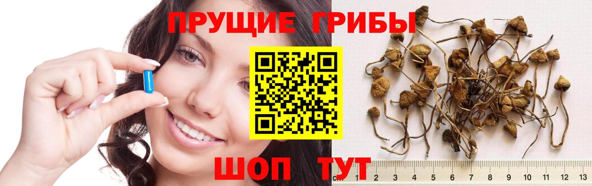 Марихуана Петровск