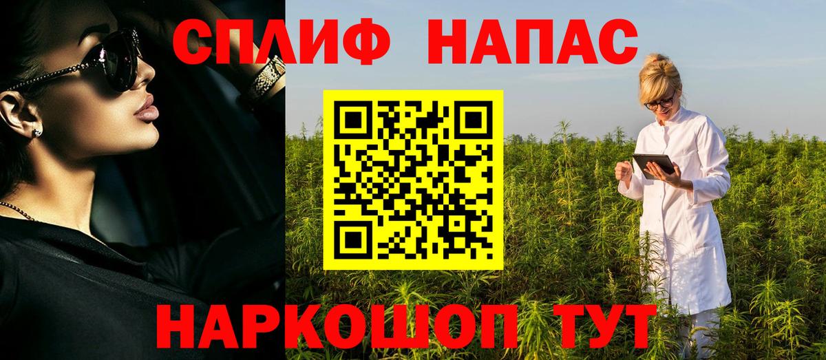 Каннабис ГИДРОПОН  Петровск  Канабис конопля  Каннабис сатива 